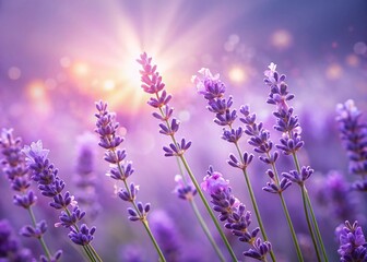 Obraz premium Serene Lavender Hues: Pastel Purple Minimalist Background Stock Photo