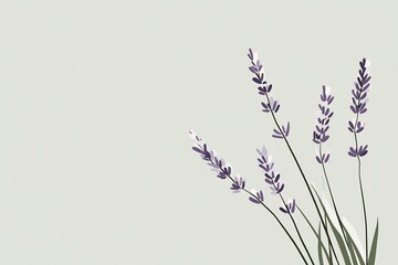 lavender flower illustration with sage green background