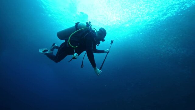 Scuba diver swims by school of sardines, Moalboal Philippines. snorkeling and scuba diving tourist destination. 
