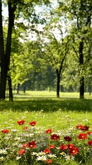 Red and White Flowers in a Sunny Green Park