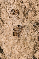 ROCAS Y MAR