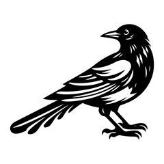 Obraz premium Magpie Bird vector silhouette Illustration