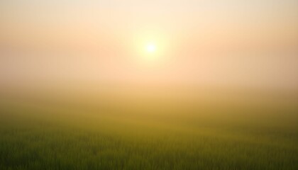 Misty Sunrise Over a Field of Green, Serene and Peaceful