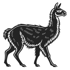 Fototapeta premium Llama Silhouette vector illustration