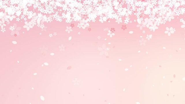 Cherry blossom animation. Spring graphic landscape with falling petals. Pink background material.（141）