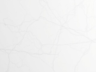 Obraz premium White Marble Texture with Grey Veining