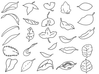 Obraz premium Clip art set of leaf