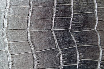 Close up of clear black crocodile skin background with customizable space for text. Wildlife concept