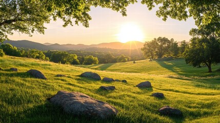 A panoramic shot of a large, undisturbed meadow, with soft green grass and scattered rocks, the warm sun casting intricate, realistic shadows across the landscape, and the bright, clear sky creating
