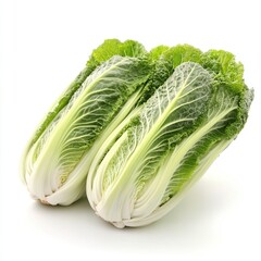 fresh green cabbage on white background isolated on white background  