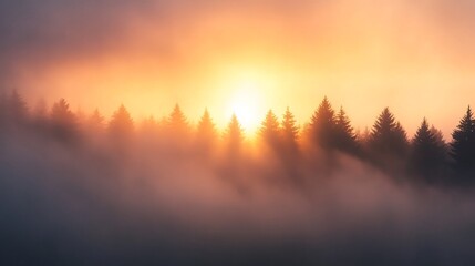 misty fog with sunrise glow
