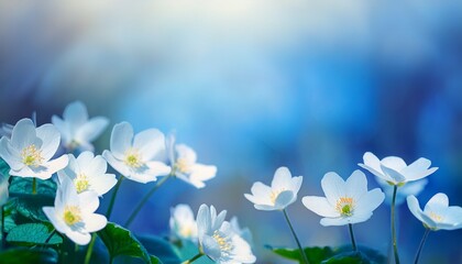 spring flowers background
