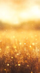 Fototapeta premium golden sunset haze background