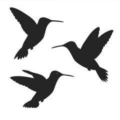 Hummingbirds Silhouette vector illustration