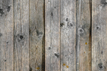 Vertical fibers of an old board close-up. Knots and fibers on an old board. The board dries out and cracks over time. Knots and mold on the weathered part of the board.