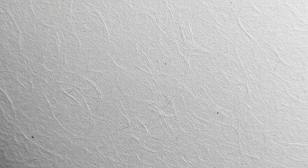 Obraz premium The subtle variations in tone and the organic pattern of fine cracks on a light gray surface are highlighted in this detailed texture image