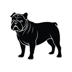 bulldog silhouette isolated on white background