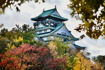 大阪城の夜景と紅葉