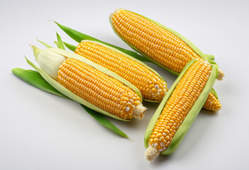 Corn kernels and cobs, fresh Maize ()