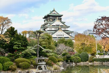 Fototapeta premium 大阪城の夜景と紅葉
