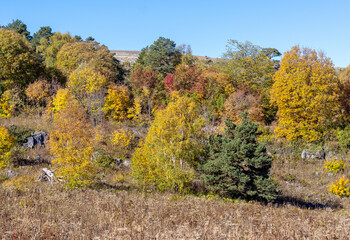autumn, the morning light of the rising sun illuminates the alpine meadows and the slopes of the...