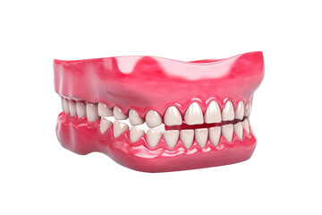 Obraz premium 3D render for denturei s orthopedic dentistry on transparent background
