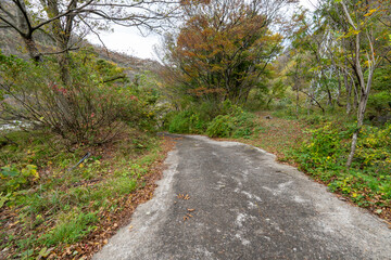 Historic old road “Salt Road” which is also a long distance hiking course and its surroundings
