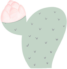 Trees, cactus, flowers