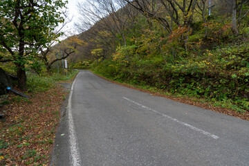 Historic old road “Salt Road” which is also a long distance hiking course and its surroundings