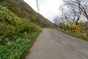 Historic old road “Salt Road” which is also a long distance hiking course and its surroundings