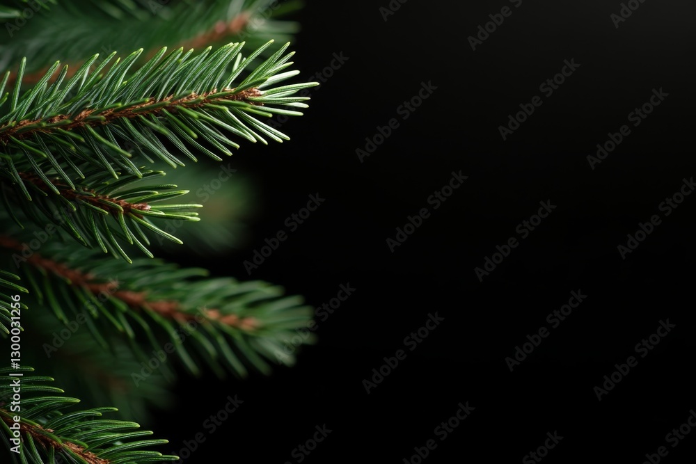 Poster A close-up captures a single green pine branch with fine needles, elegantly set against a softly blurred dark backdrop, providing a minimalist feel