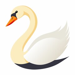swan illustration on white background