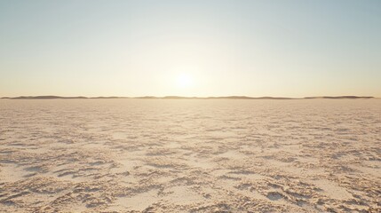 Vast Desert Landscape at Sunset with Warm Golden Light