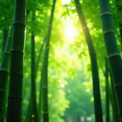 Obraz premium Sunlight dappled through vibrant green bamboo shoots , bamboo forest, green, renewal