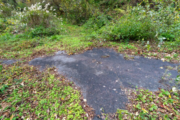 Obraz premium Historic old road “Salt Road” which is also a long distance hiking course and its surroundings