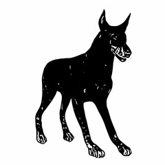 This image is animal ilustration design of Doberman dog