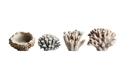 Obraz premium Coral sea ocean natural coral pieces on black background with detailed textures png