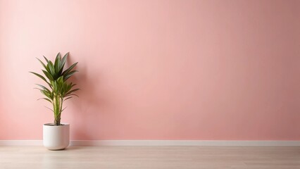 Fototapeta premium A minimalist pink wall with a single isolated home plant standing tall and proud in the center