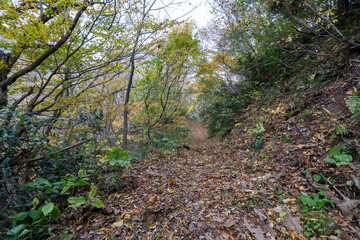 Fototapeta premium Historic old road “Salt Road” which is also a long distance hiking course and its surroundings