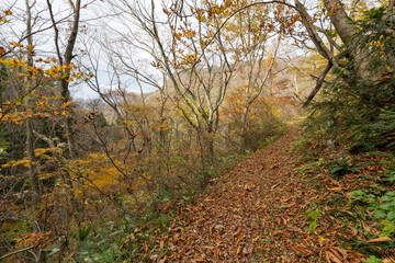 Obraz premium Historic old road “Salt Road” which is also a long distance hiking course and its surroundings