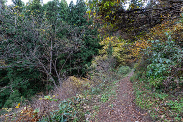 Historic old road “Salt Road” which is also a long distance hiking course and its surroundings