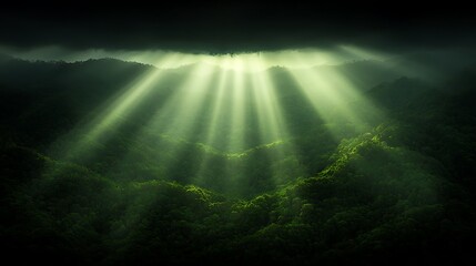 Fototapeta premium Dramatic Sunbeams Illuminating Lush Green Forest Landscape Nature Photography