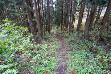 Obraz premium Historic old road “Salt Road” which is also a long distance hiking course and its surroundings