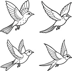 set of birds