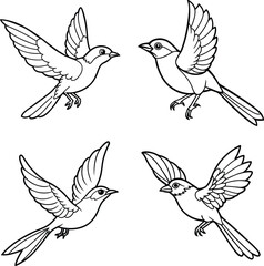 set of vector birds