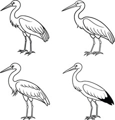 vector illustration of white stork