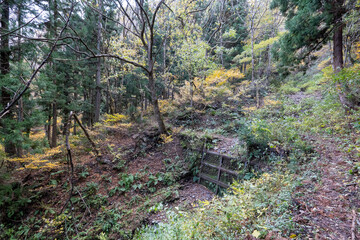 Historic old road &ldquo;Salt Road&rdquo; which is also a long distance hiking course and its surroundings