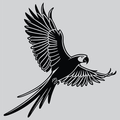 a parrot taking off in flight silhouette vector design art and illustration