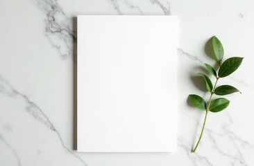 Minimalist blank white paper on marble surface with green leaves