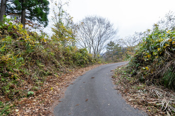 Historic old road “Salt Road” which is also a long distance hiking course and its surroundings